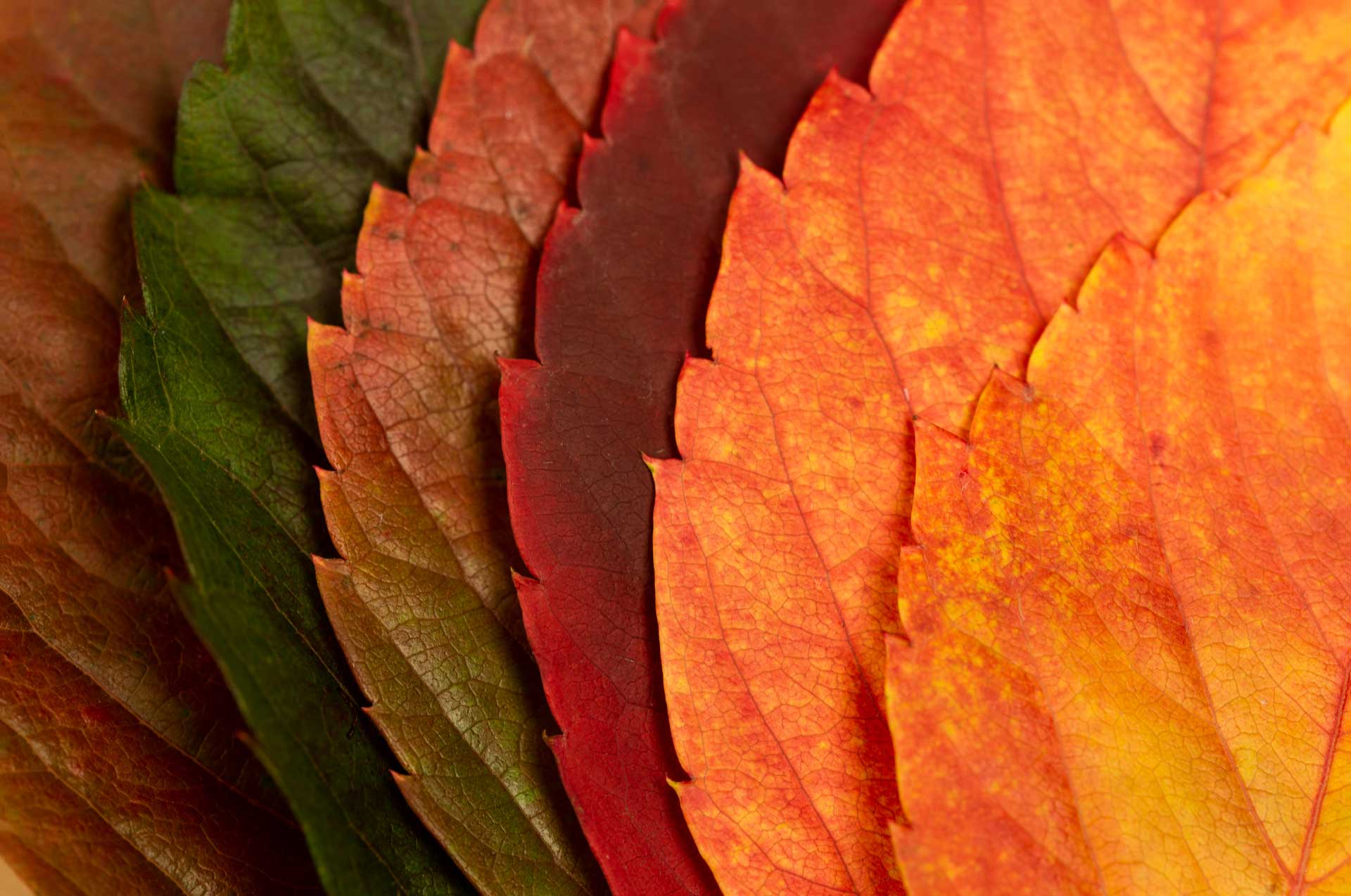 A Melhor Época do Ano para Visitar a Itália